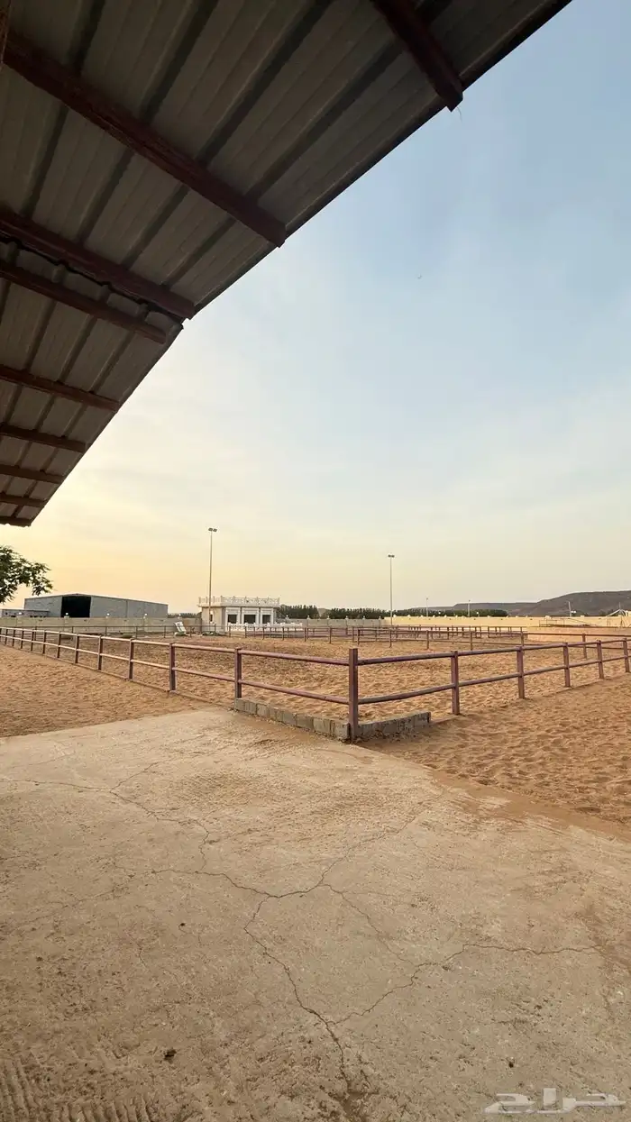 اسطبل خيول جميع م يخص الخيل 4