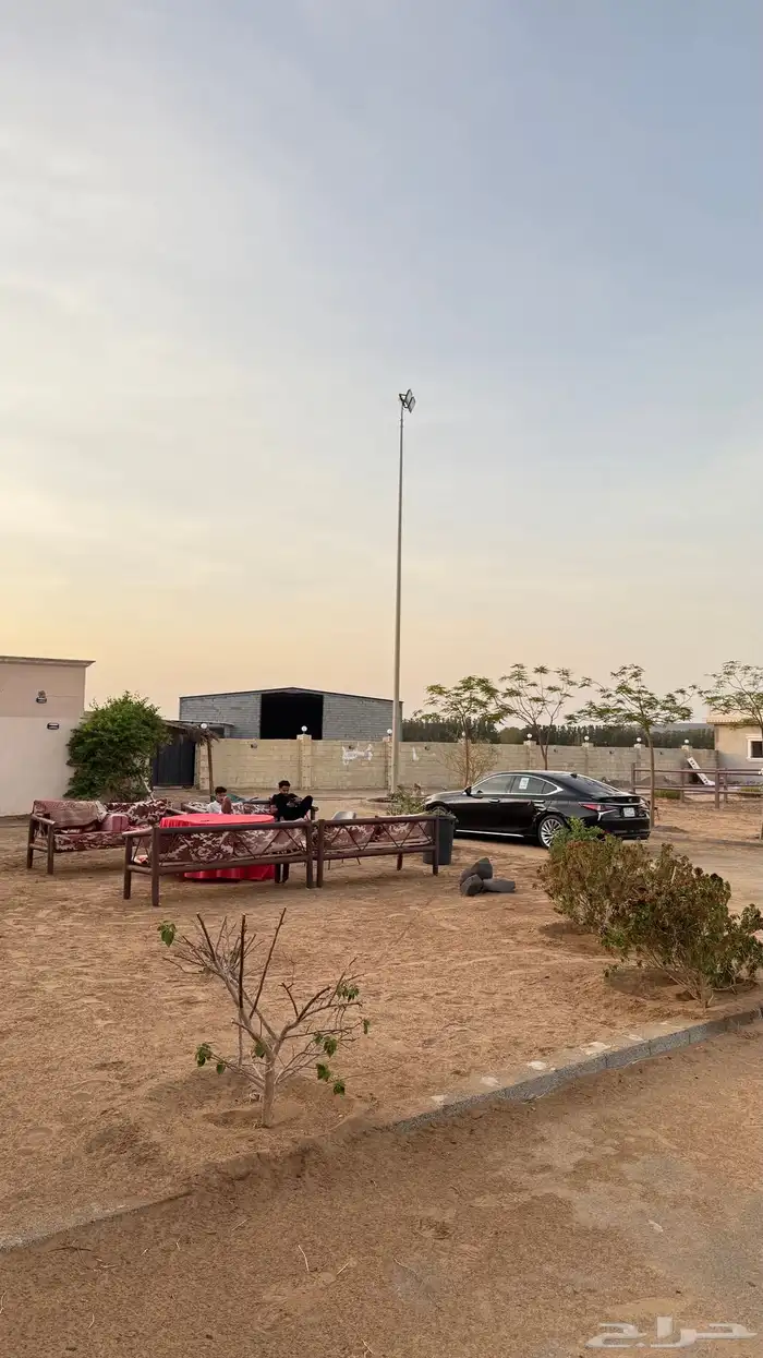 اسطبل خيول جميع م يخص الخيل 2