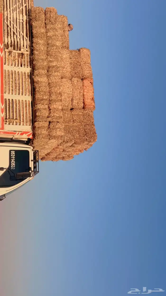 تبن حوالي 1
