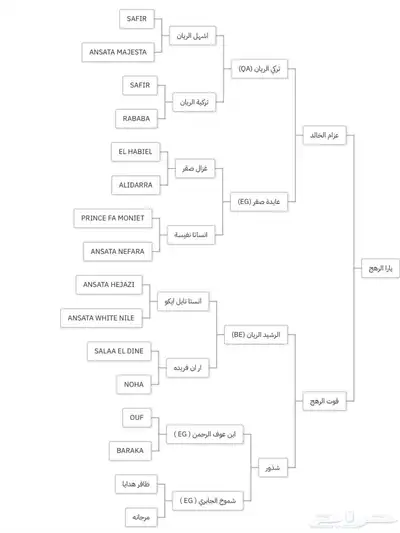 مهرة واهو فاخرة 5
