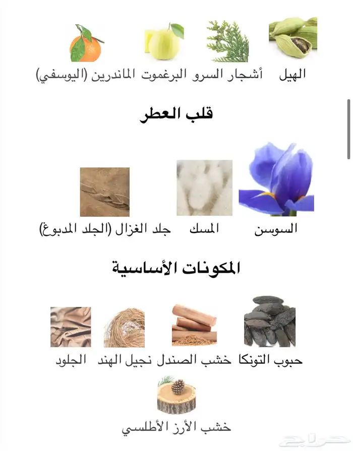 عطر نارسيسو رودريقيز بلو نوار بارفام مباع 3