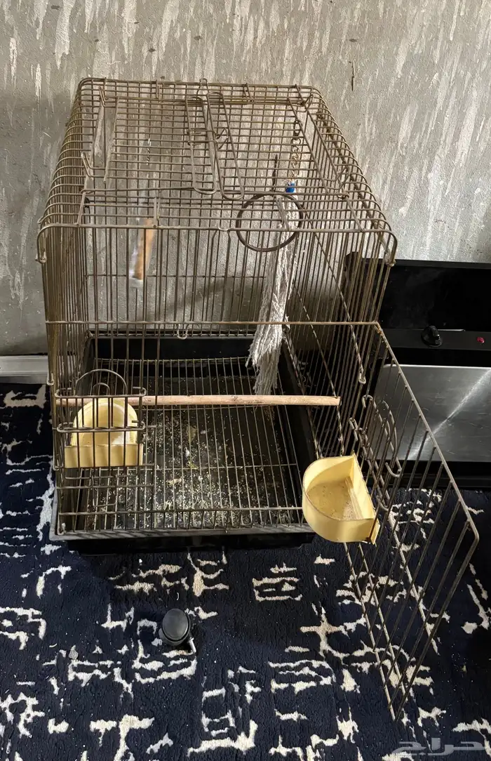 قفص عصافير 0