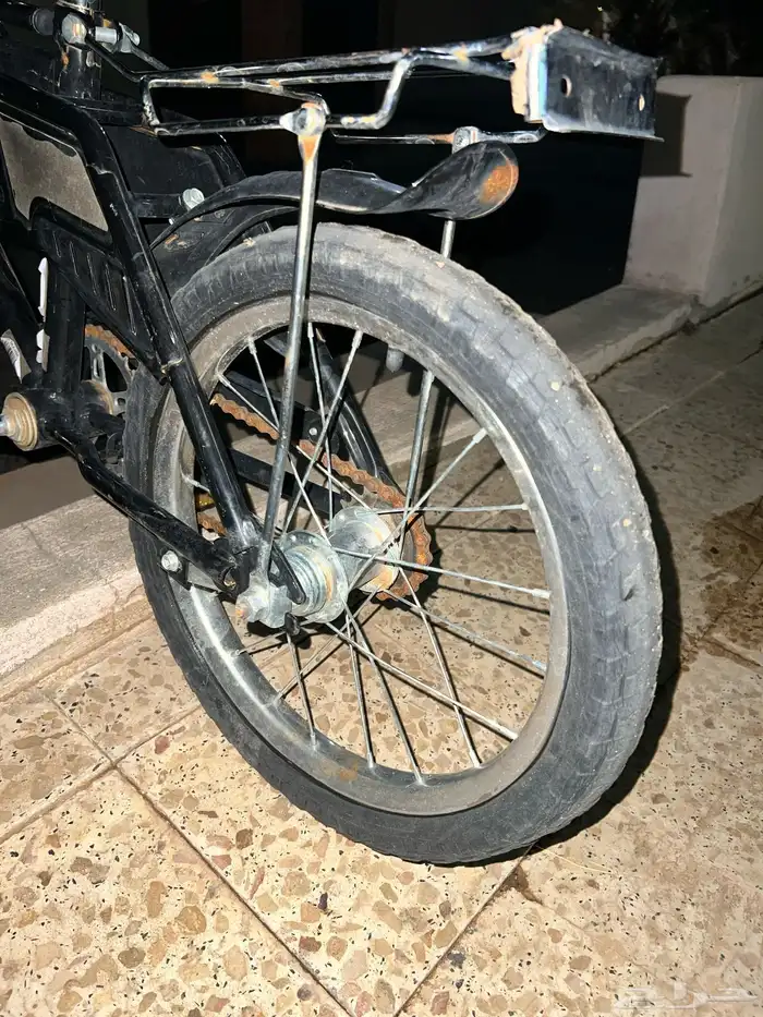 للبيع او للبدل دجاج بلدي سيكل 14