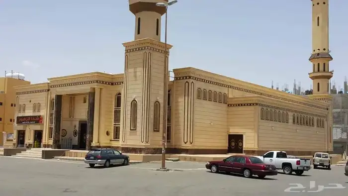 حجر الريآض طبيعي 6