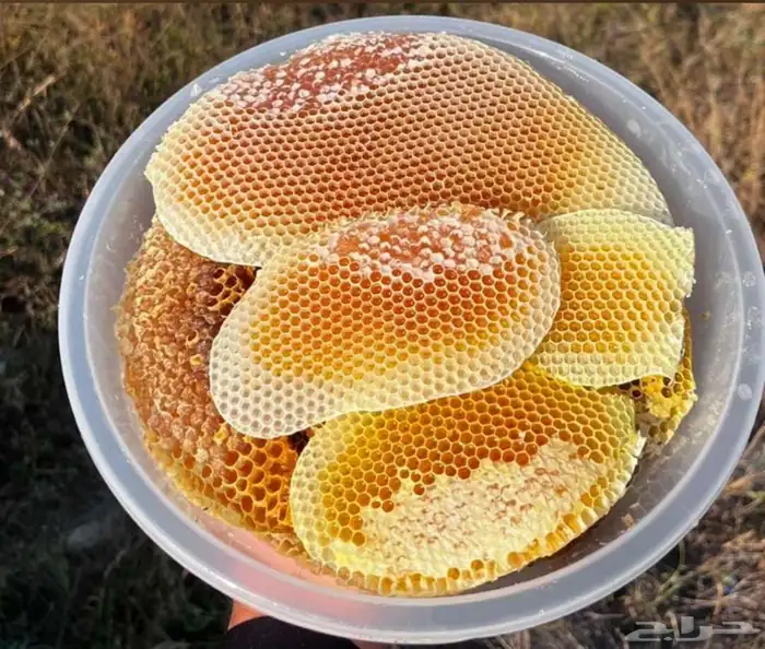 عسل صافي جبلي من منحلي شخصيا  مضمون 12