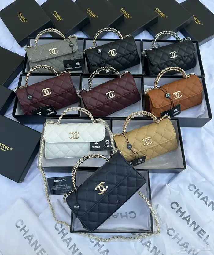 شنط برادا ميوميو كوتش سان لوران شانيل مع الملحقات 69