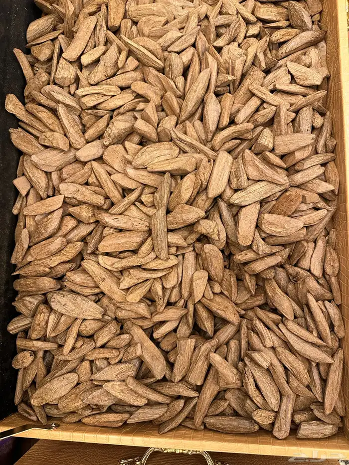 عود موروكي طبيعي محسن بيور سعر منافس 0