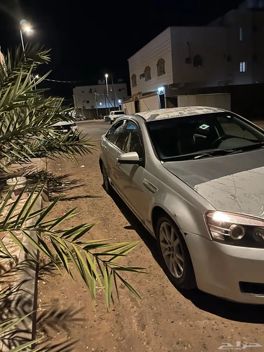 كابرس 12 8 سرندل 6 نمر 2