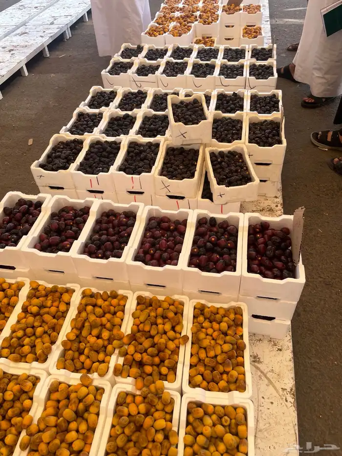 متوفر تمور عجوة و سكري وغيره توصيل إلى جدة 4