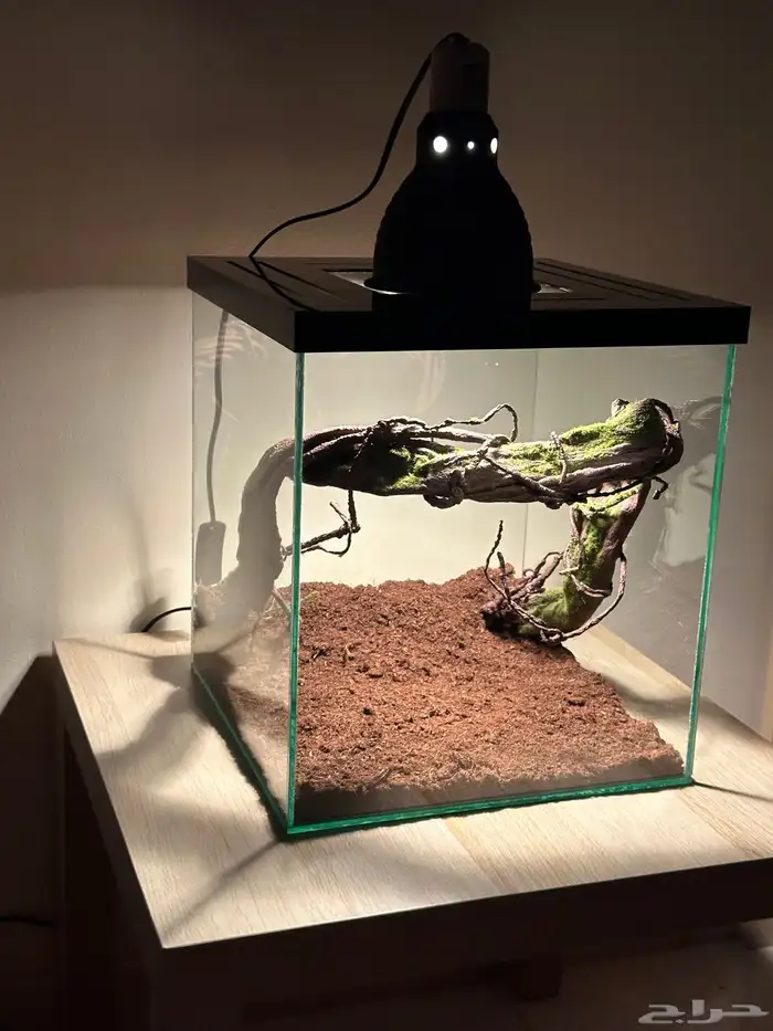 تفصيل أحواض زواحف 2