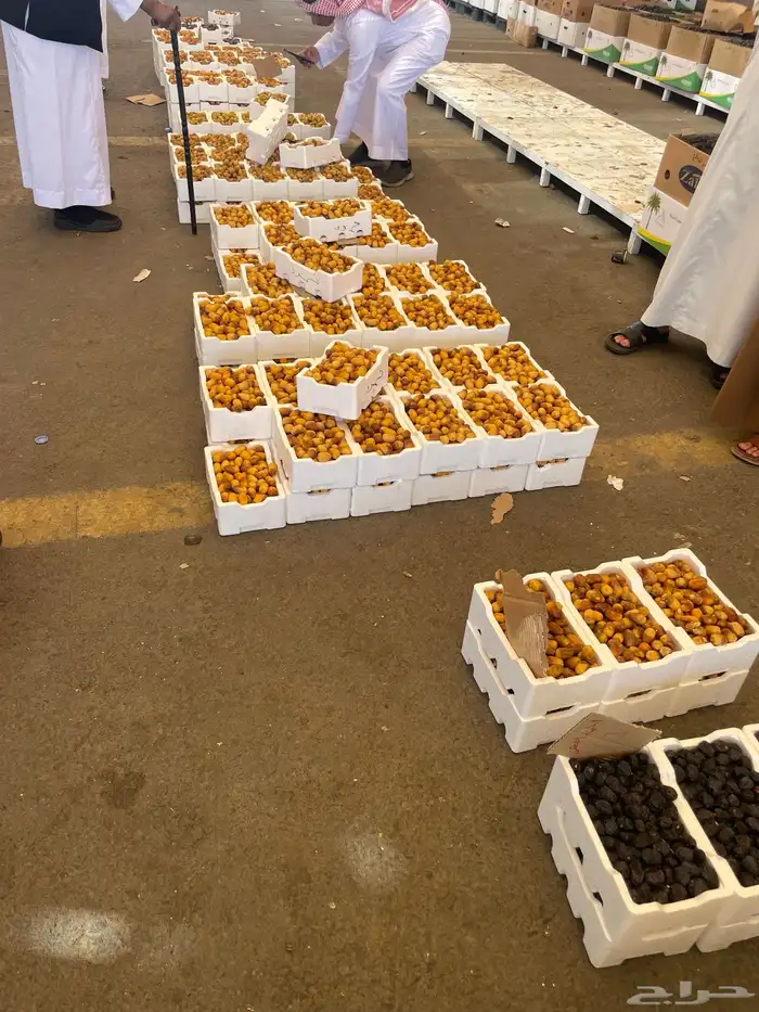 متوفر تمور عجوة و سكري وغيره توصيل إلى جدة 3