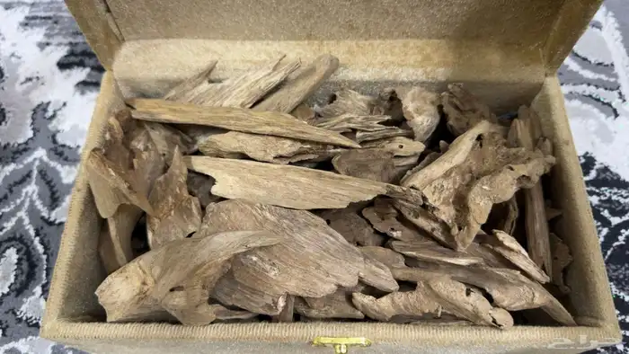 عود طبيعي كلمنتان انبون 0