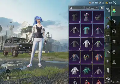 حساب ببجي 17