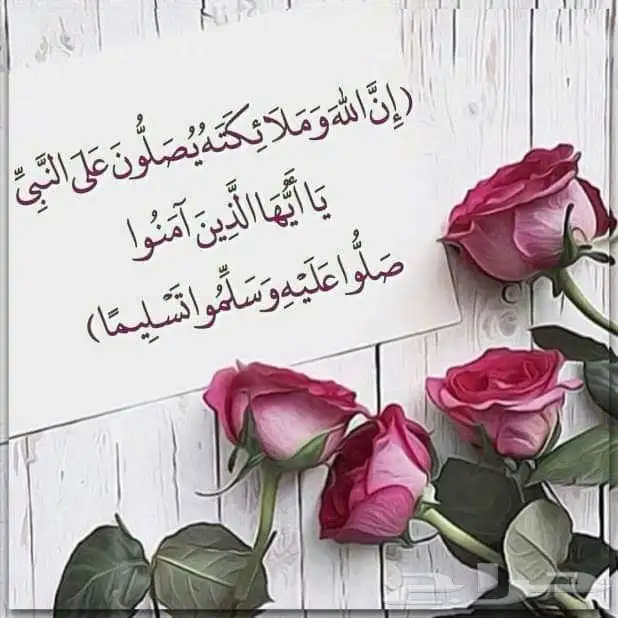كداد من العلا الى المدينه المنورة 0