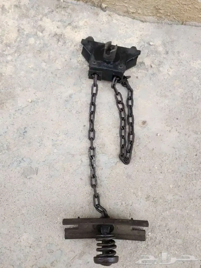 أحراج 0