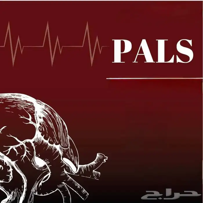 BLS 3