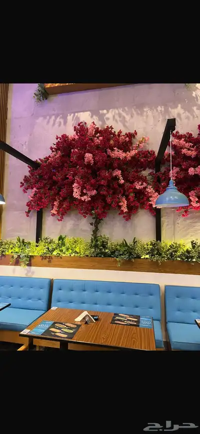تصميم وتنفيذ مشاريع ومحلات ومطاعم وكفيهات و فلل 15