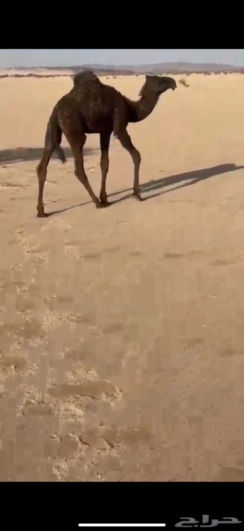 خلفه 0