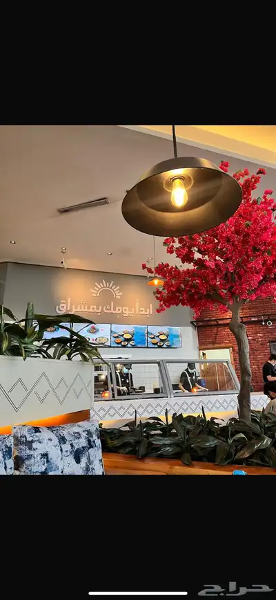 تصميم وتنفيذ مشاريع ومحلات ومطاعم وكفيهات و فلل 43