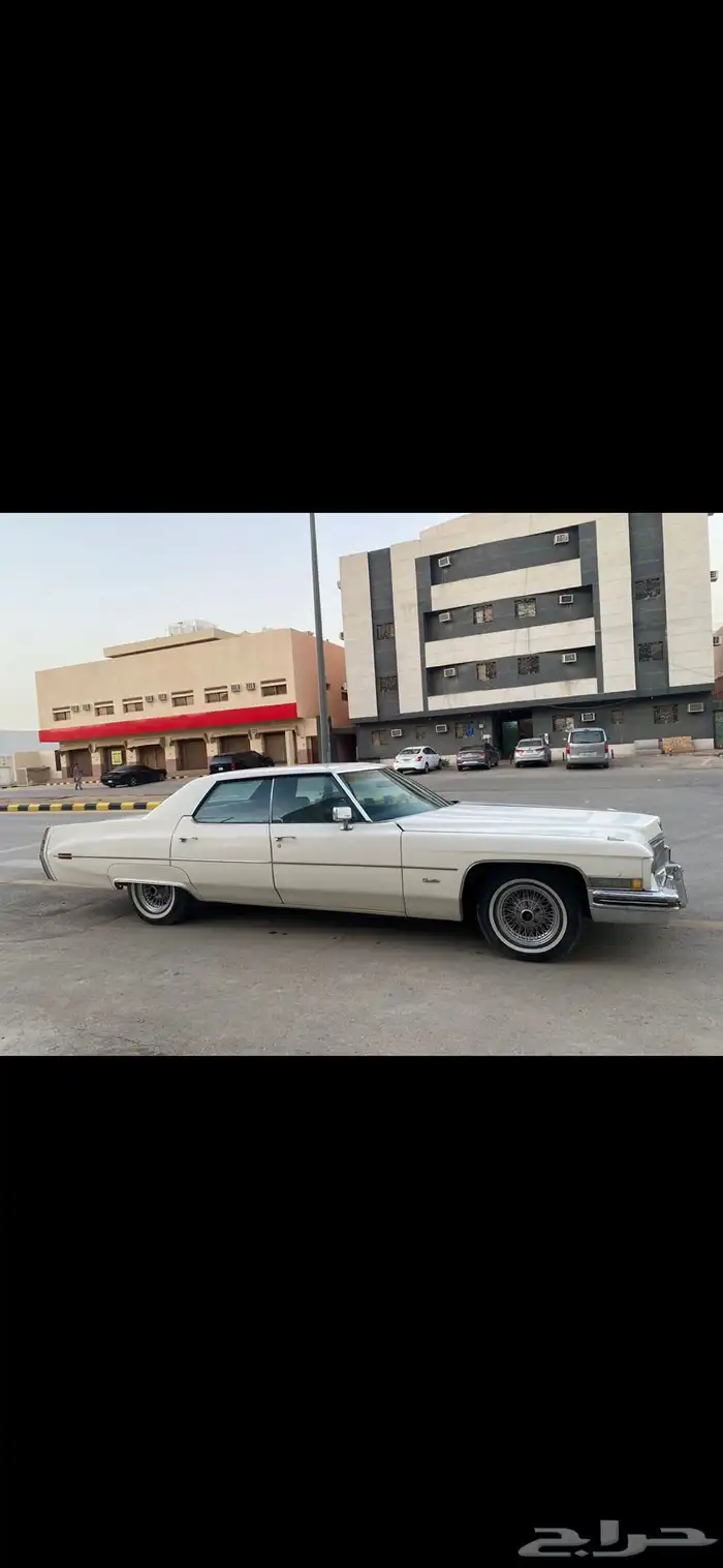 كدلك فليت ود 19