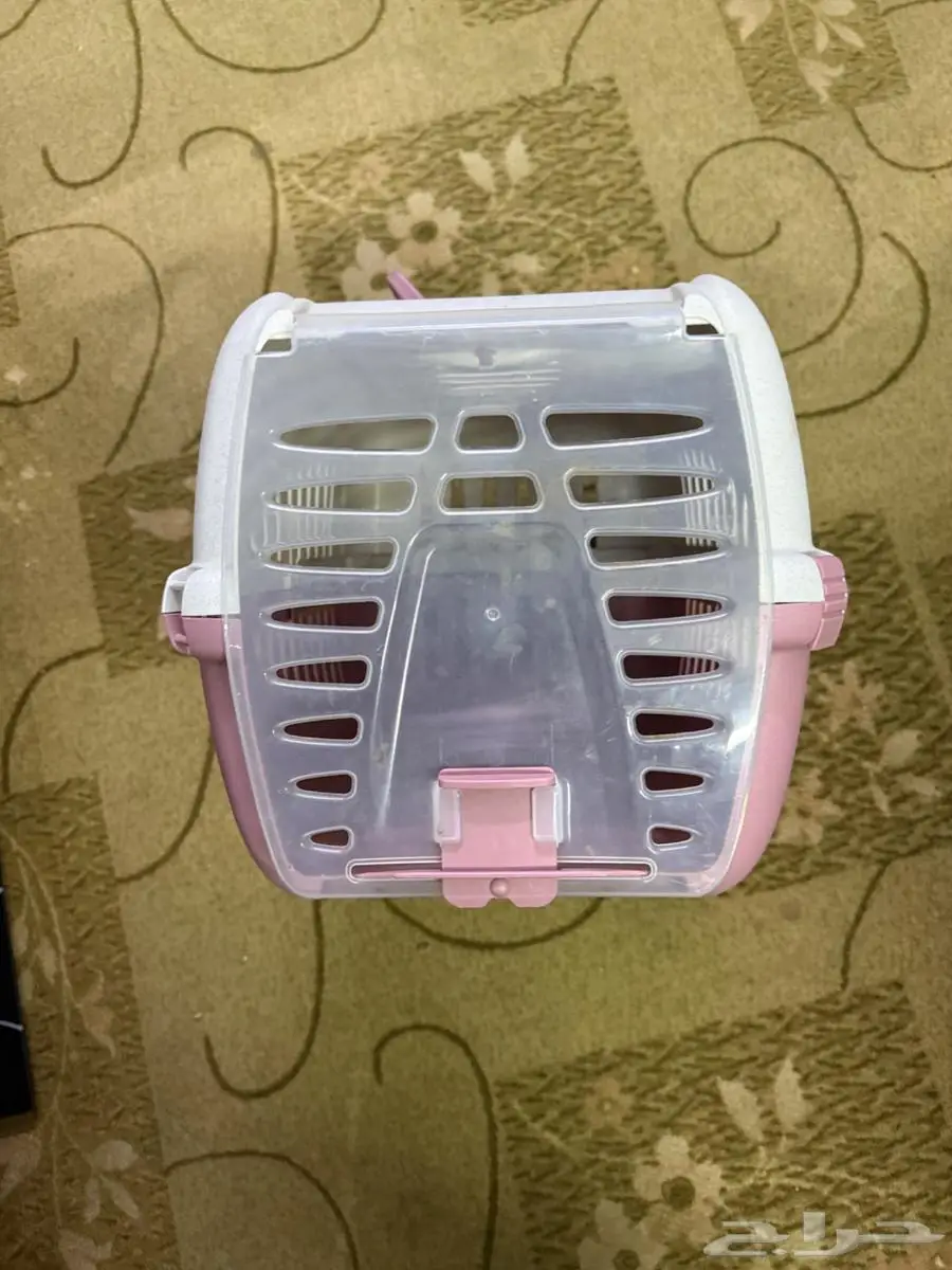 جميع اغراض القطط 3