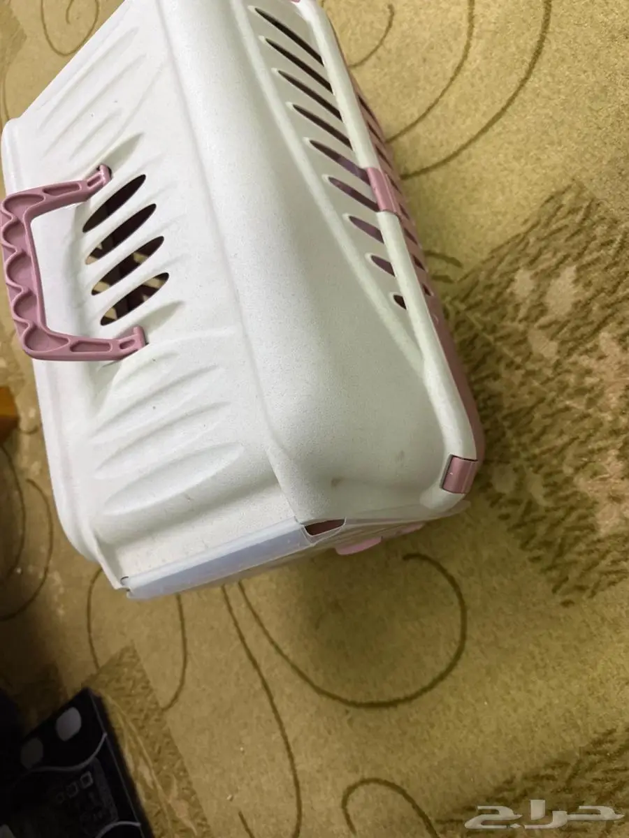 جميع اغراض القطط 6