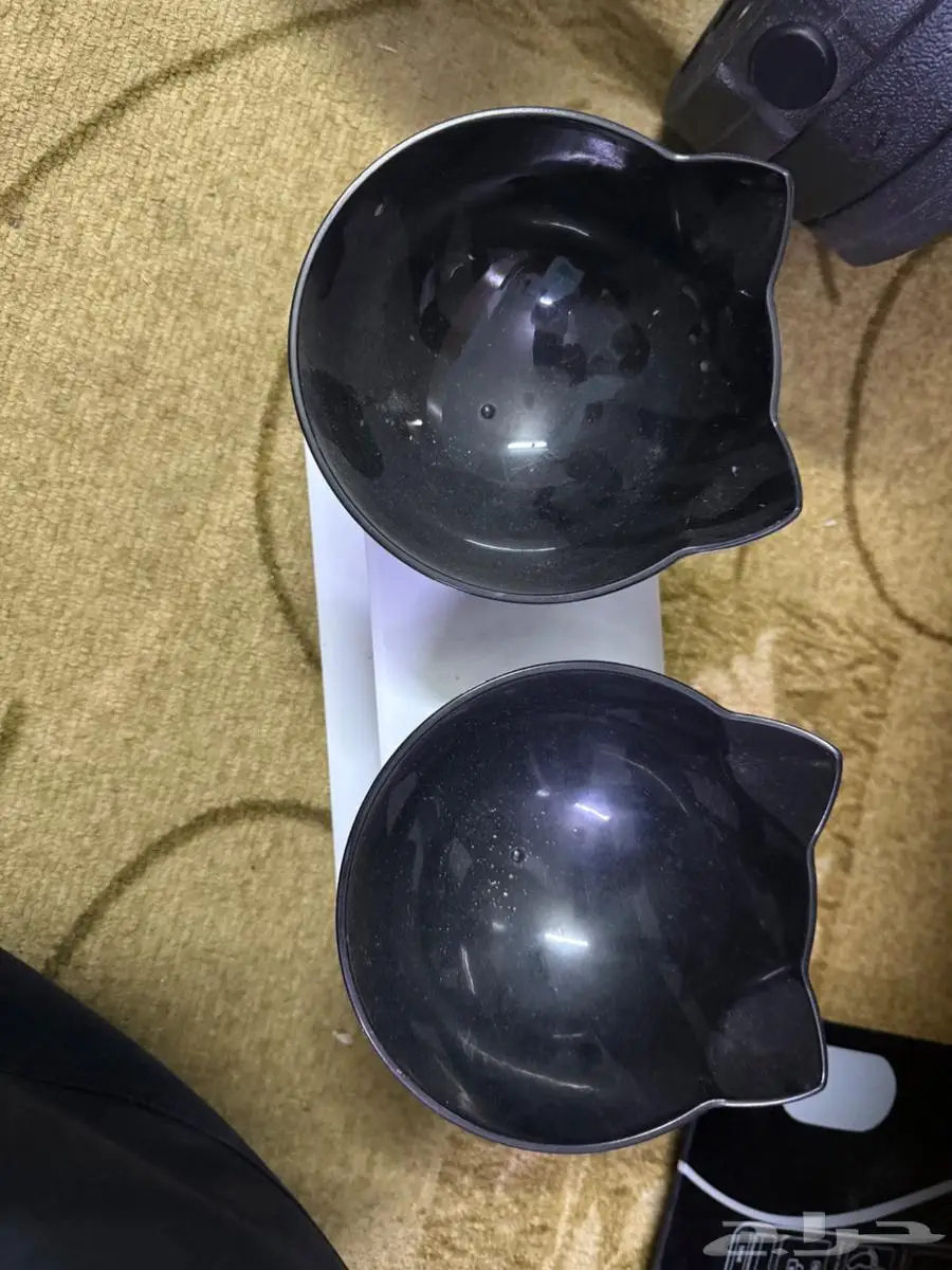 جميع اغراض القطط 4