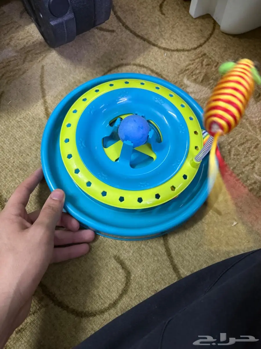 جميع اغراض القطط 5