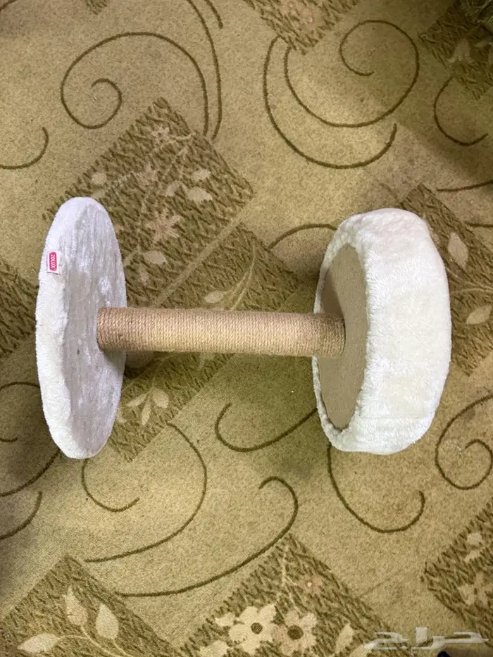 جميع اغراض القطط 1