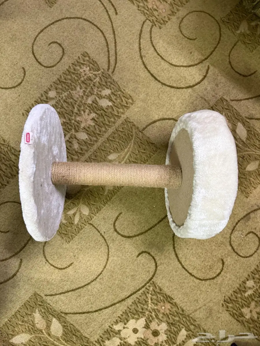 جميع اغراض القطط 1