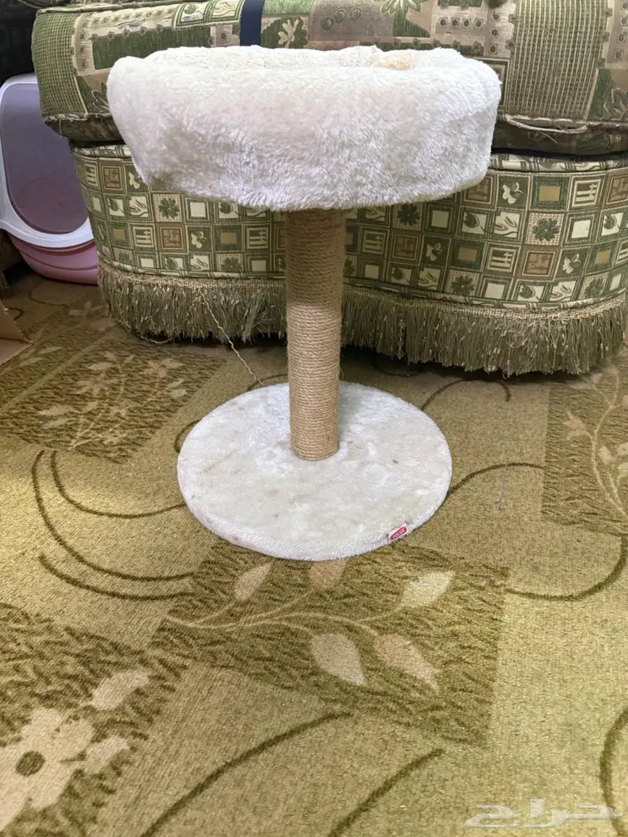 جميع اغراض القطط 0