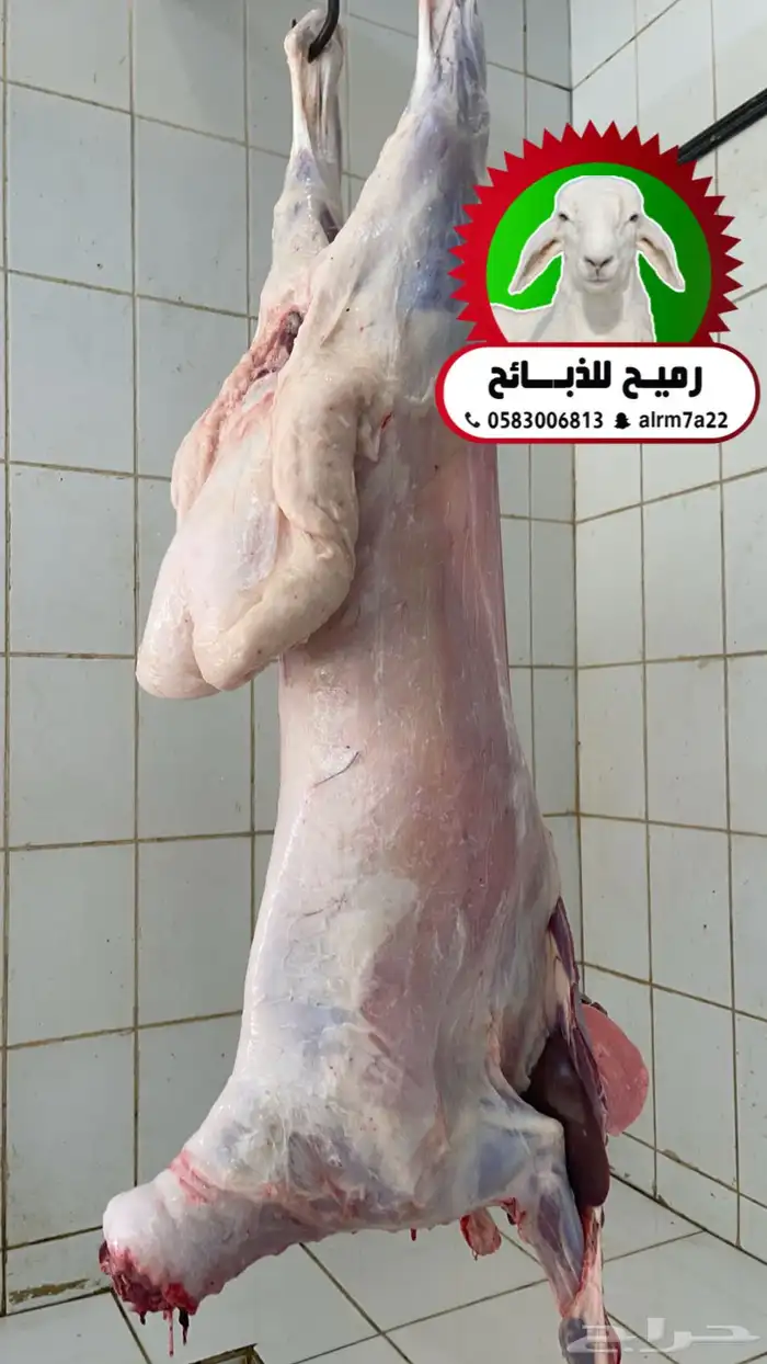 رميح للذبايح .. نحرص على أجود انواع الذبايح 4