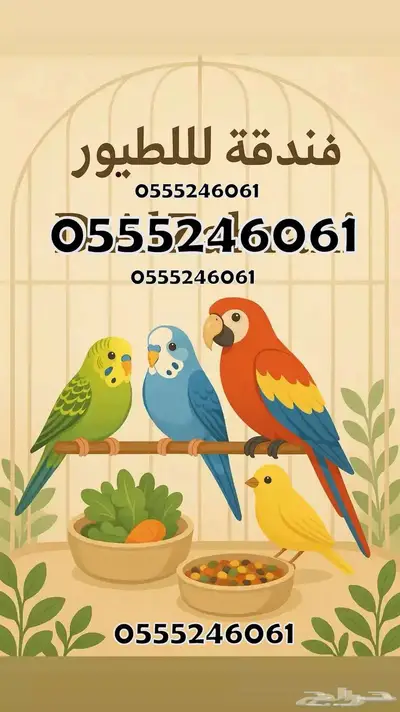 فندقة طيور وقطط 6061 24 0555 وقت اجازتكم 0