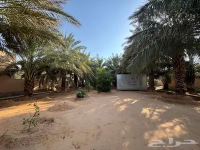 للبيع استراحة شمال مدينة بريدة مخطط البديع 11