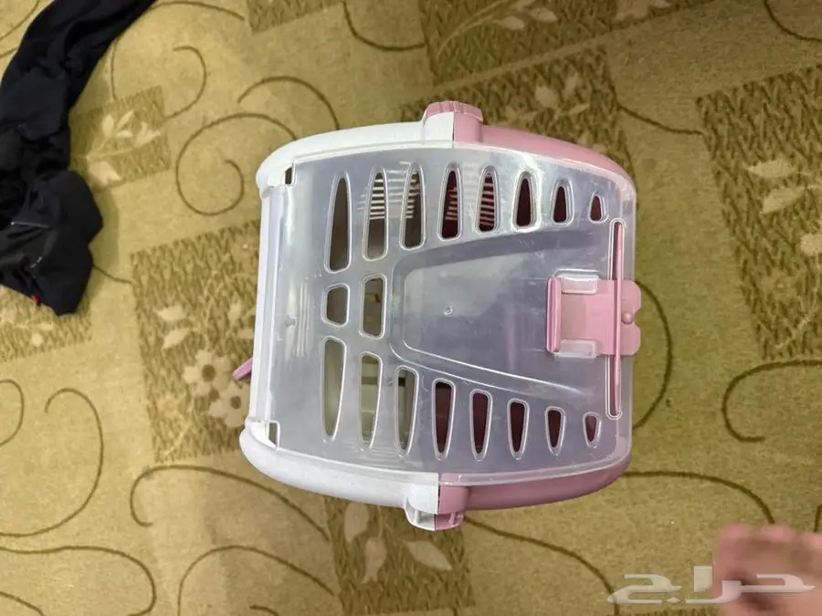 جميع اغراض القطط 2