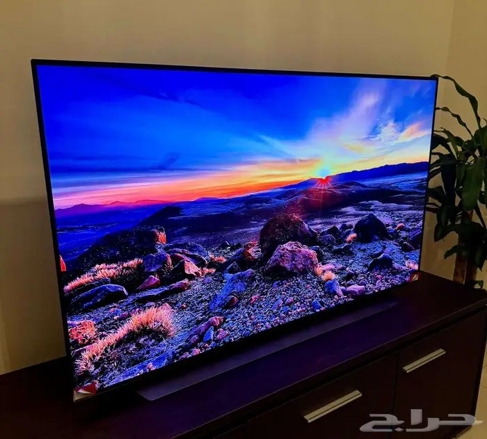 شاشة ال جي أوليد LG Oled 55 بوصة c1 2