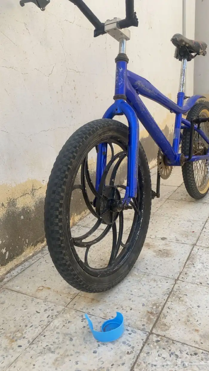 كوبرا مقاس عشرين 3