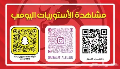 ملحمة اصالة العجول تبوك 0