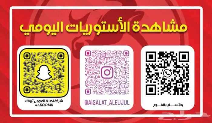 ملحمة اصالة العجول تبوك 0