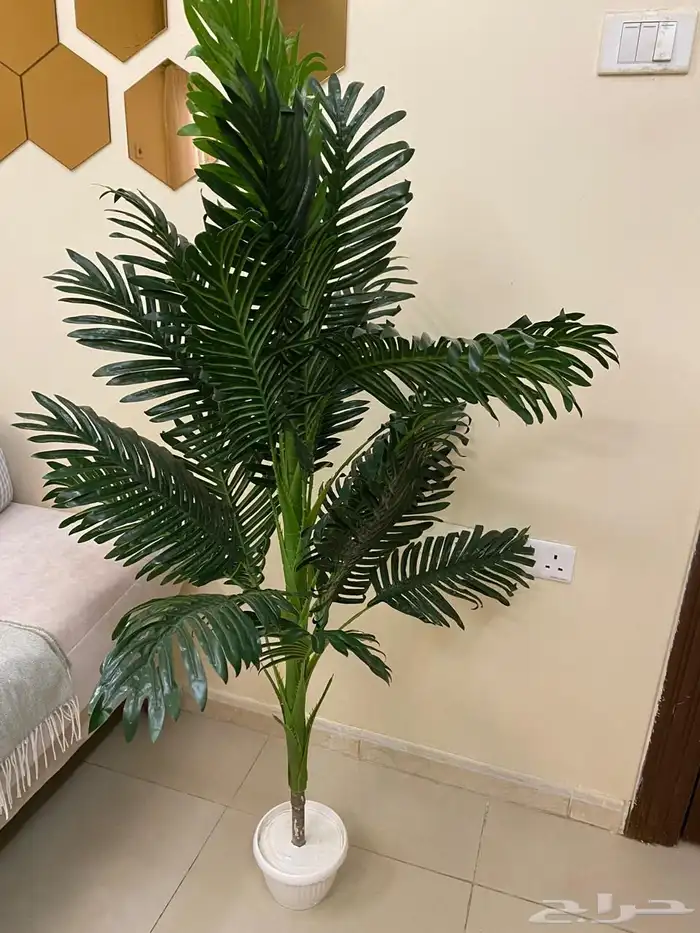 للبيع مستعجل 7