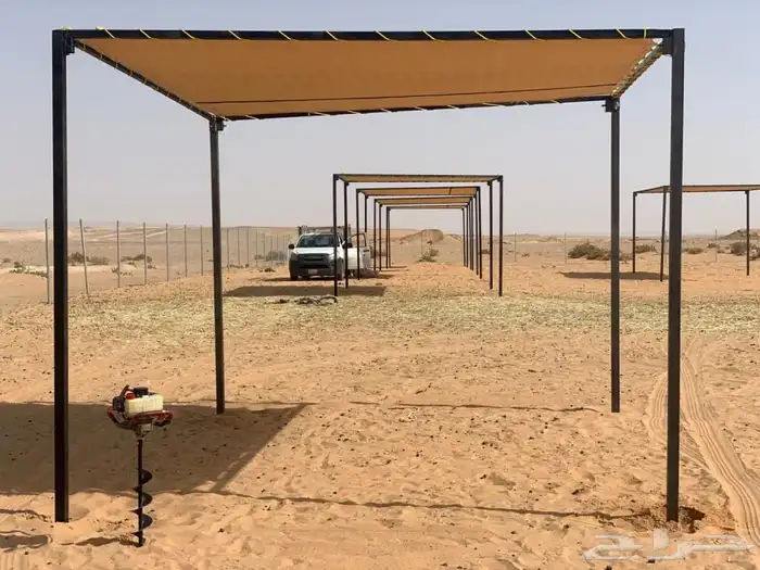 مضلات الابل  مميزة 4
