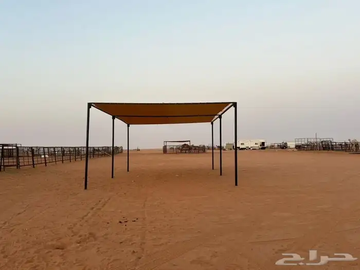 مضلات الابل  المميزة قماش الجزيرة 5
