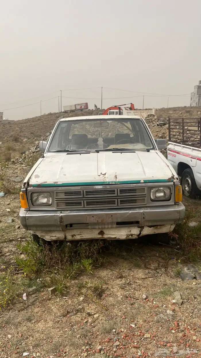 ددسن 87 1