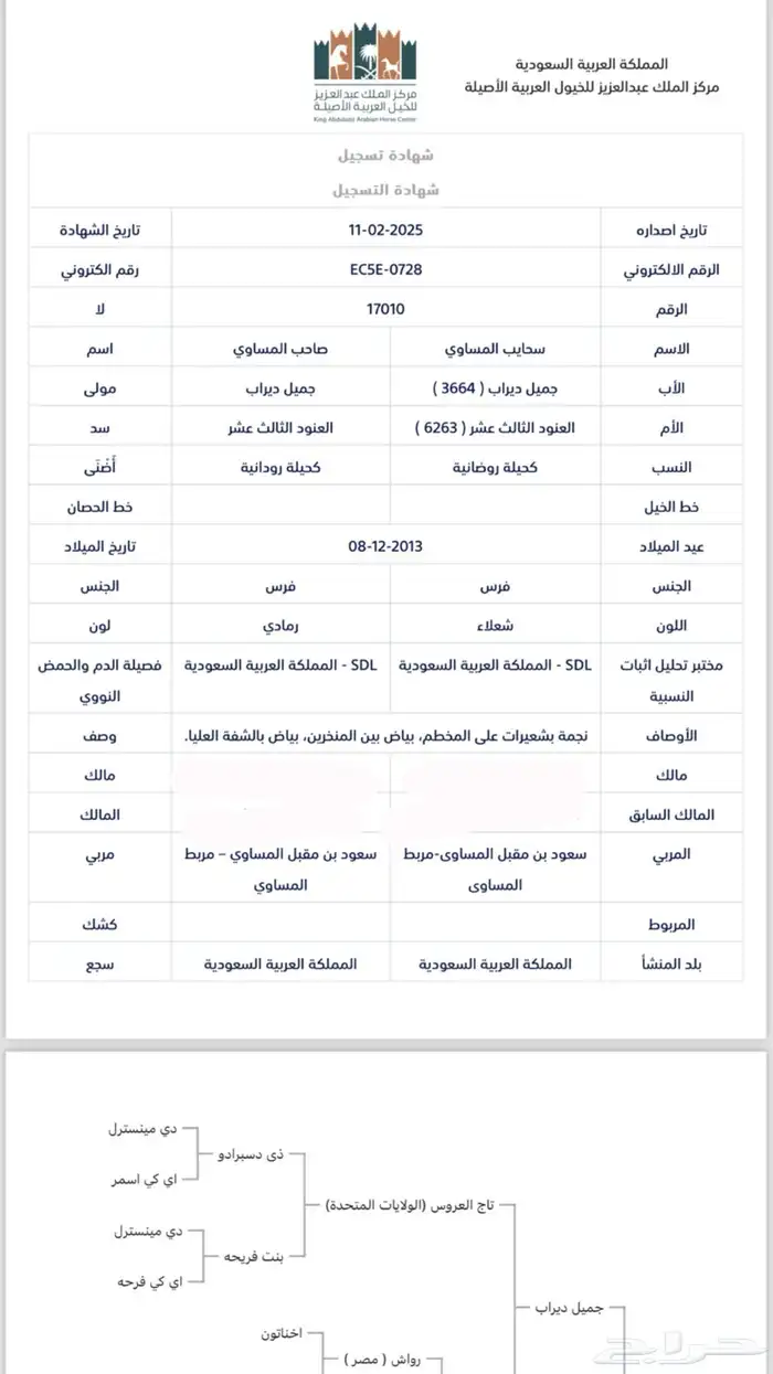 فرس واهو للبيع 4
