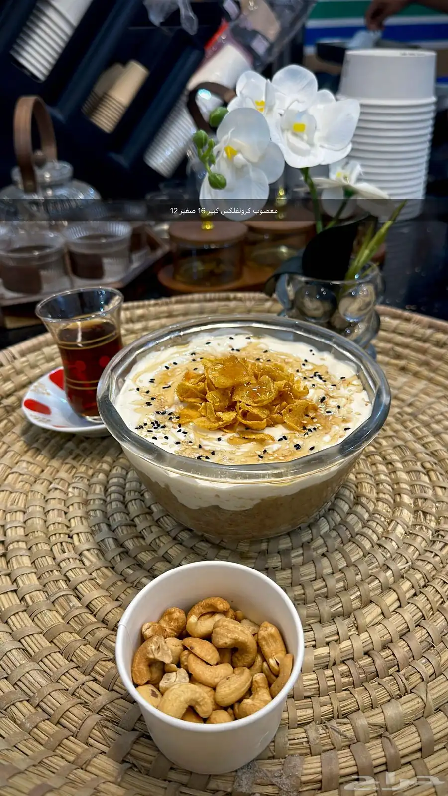 عريكة ومعصوب الديرة 6
