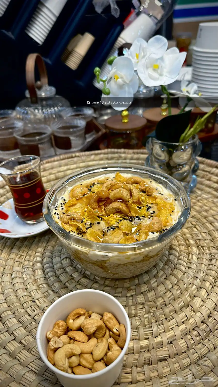 عريكة ومعصوب الديرة 4