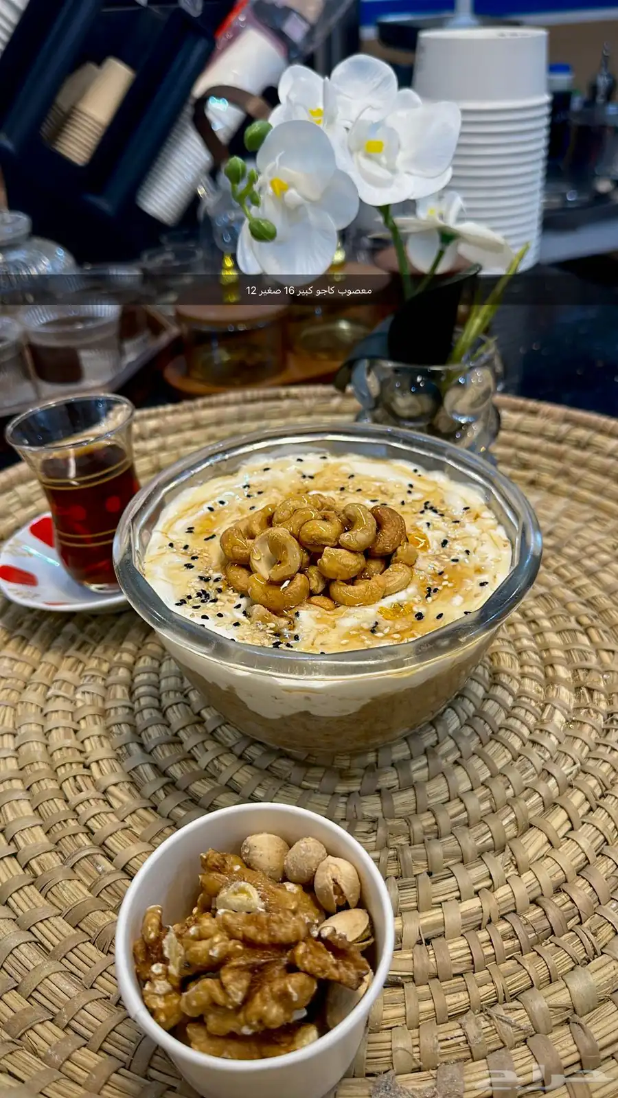 عريكة ومعصوب الديرة 7