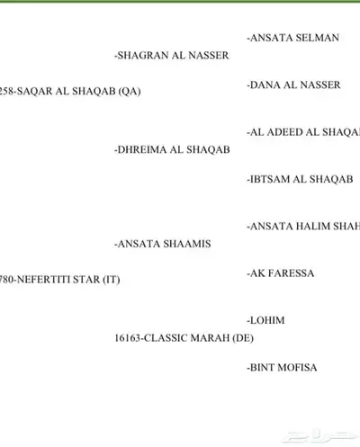فرس واهو 3