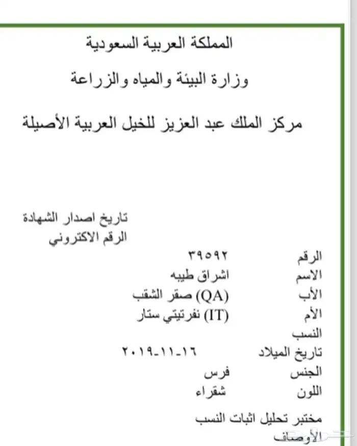 فرس واهو 2