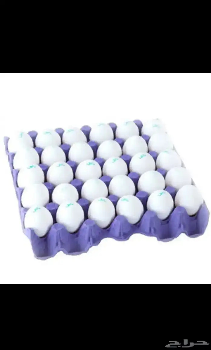 بيض براهما كولمبي أصل 0